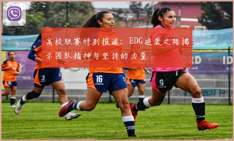 高校联赛特别报道：EDG逆袭之路揭示团队精神与坚持的力量