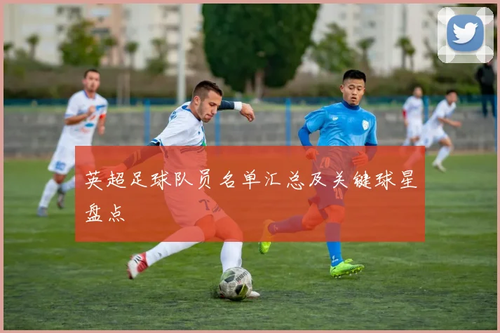英超足球队员名单汇总及关键球星盘点