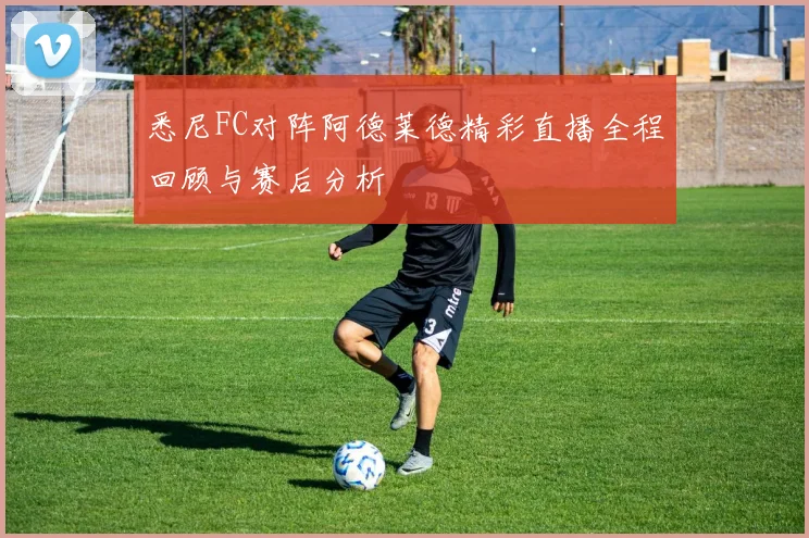 悉尼FC对阵阿德莱德精彩直播全程回顾与赛后分析